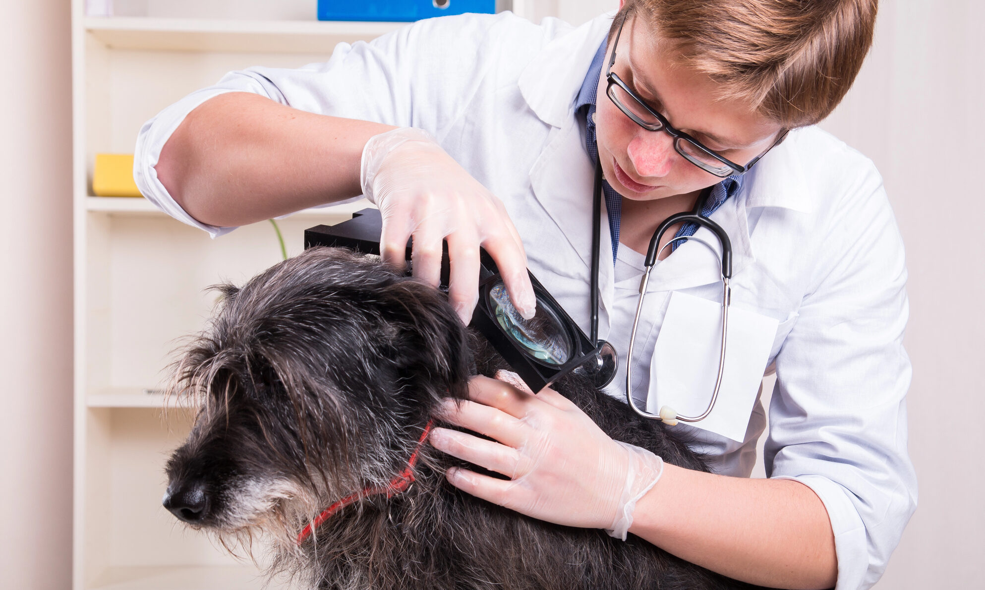 Depositphotos_57966011_L