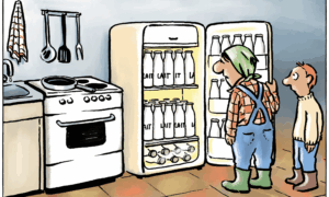 Der niedrige Milchpreis bringt viele Bauern in Schwierigkeiten