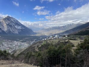 Zwei Schweizer Dorfärzte gegen Elon Musk