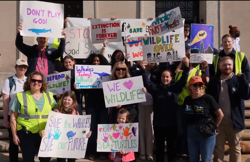 2026_03_31 Protest Defenders of Wildlife