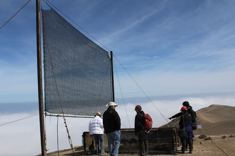 Fog Harvesting
