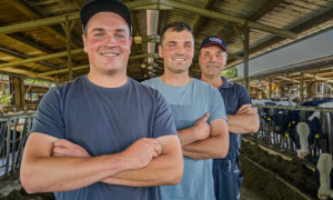 Vier «Erfolgsrezepte» für die Landwirtschaft