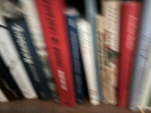 kontertext: Die Tempelwächter in meinem Regal