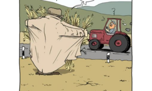 «Psst! Psst!» «Willst du?»