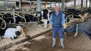Traditionskäserei kühlt mit frisch gemolkener Milch