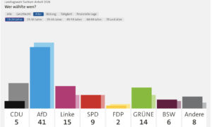 Wer wählte die AfD in Sachsen-Anhalt?