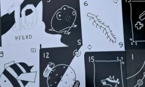 Das Spiel: Ein kleines Kartenspiel aus Bern